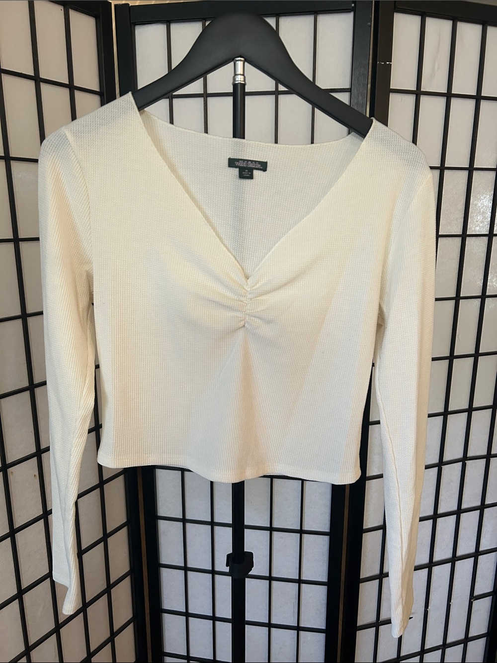 Wwild Fable Cream Ruched V-Neck Long Sleeve Top